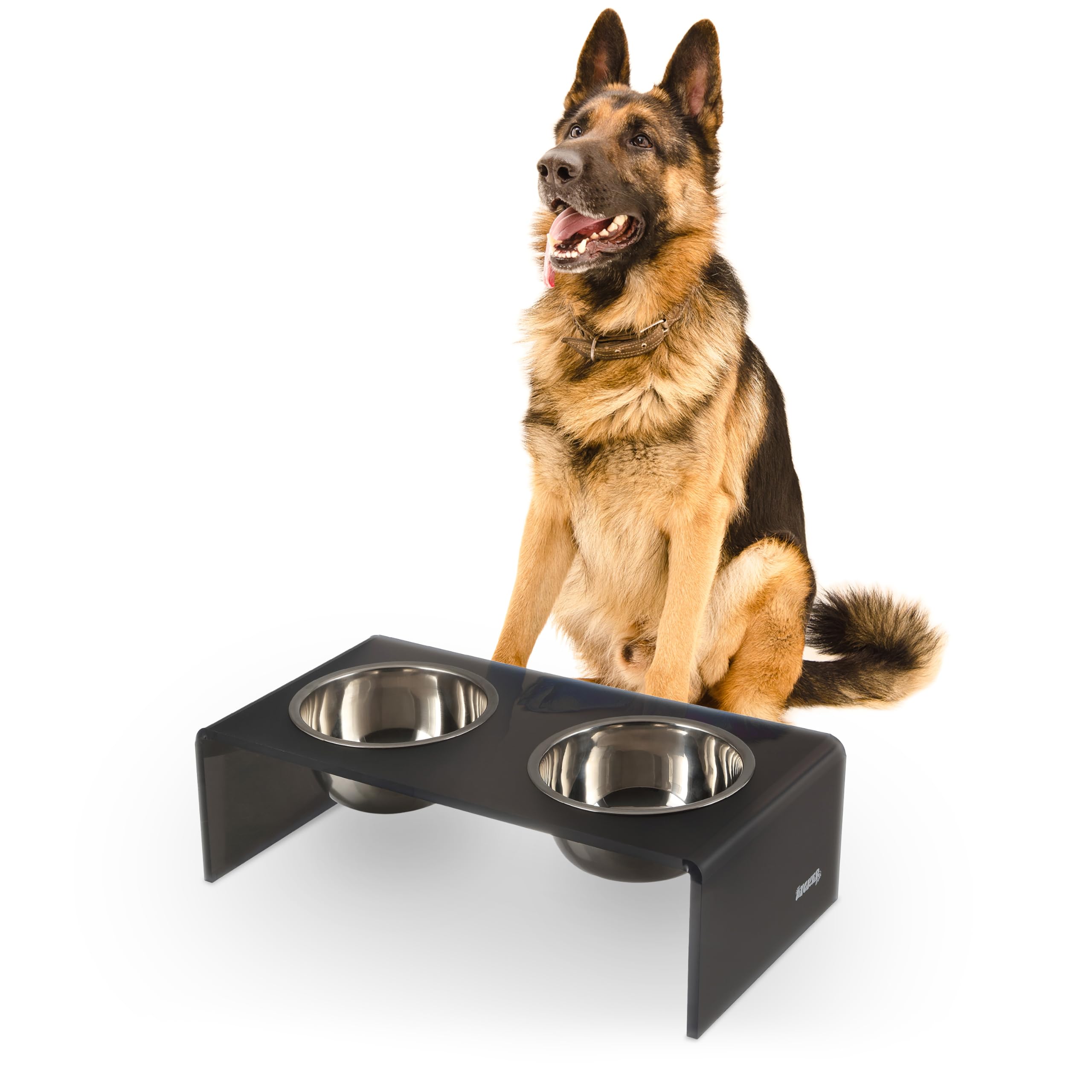 LICKER Acrylic Elevated Pet Feeder with Clear Stand