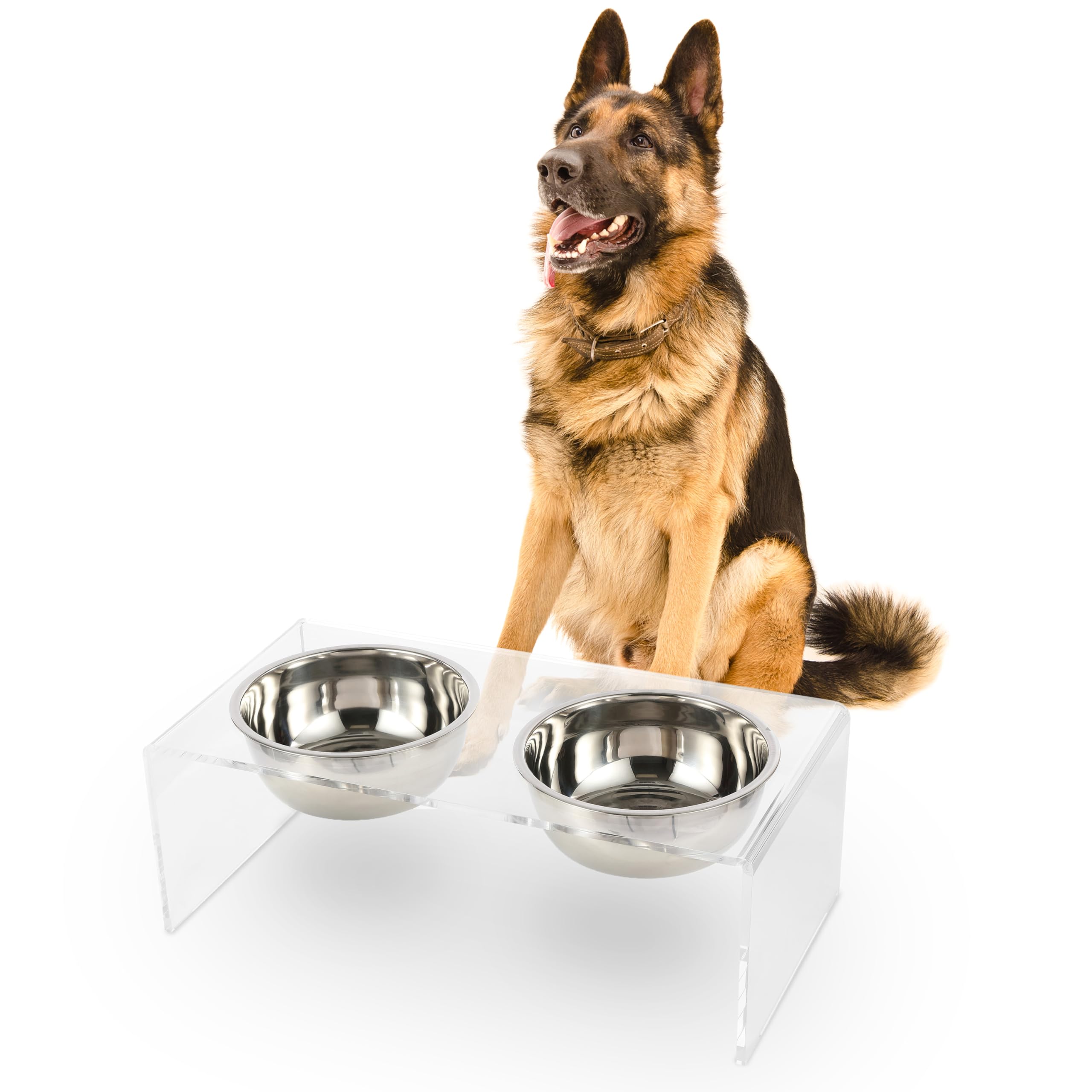 LICKER Acrylic Elevated Pet Feeder with Clear Stand