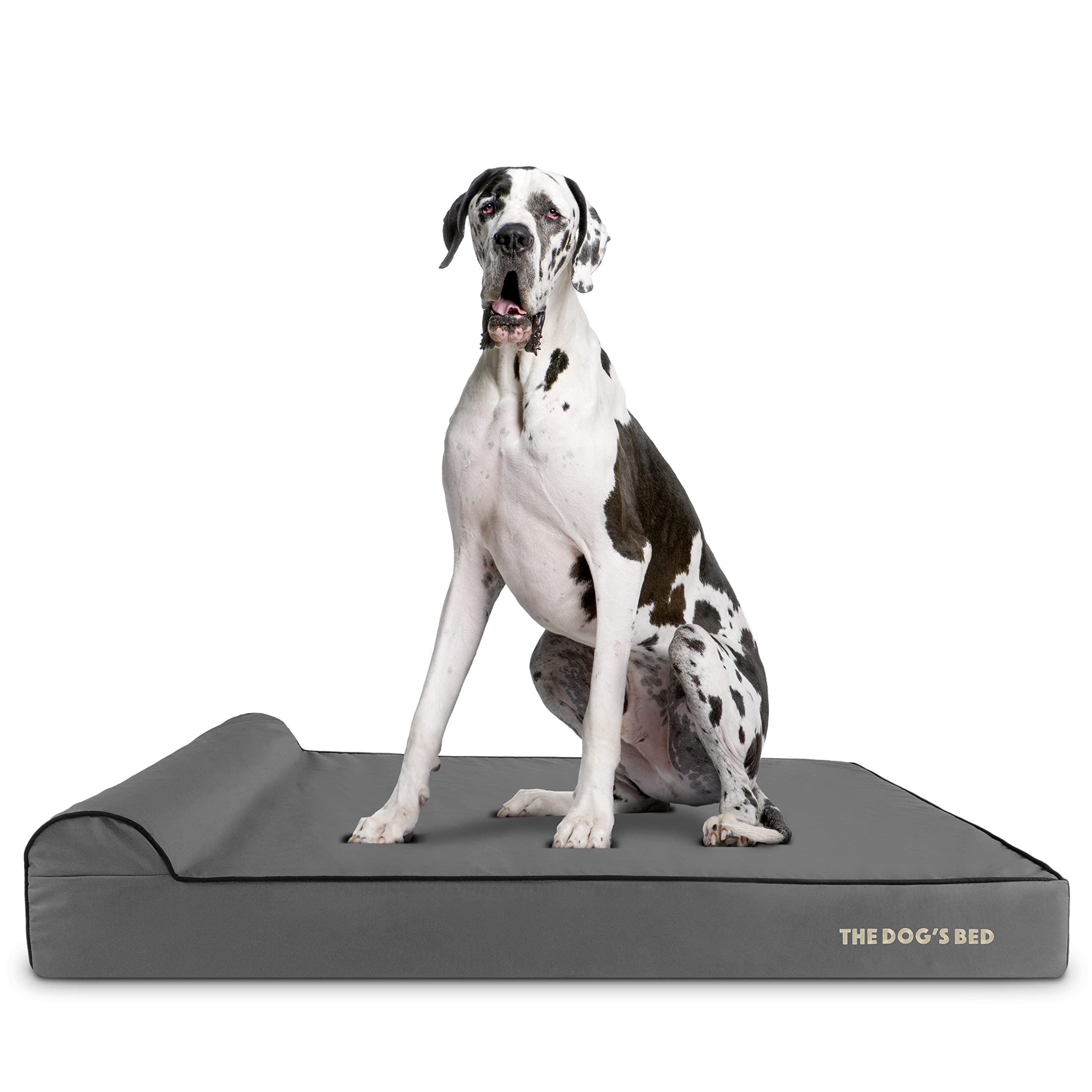 The Dog’s Bed Orthopedic Memory Foam Bed with Headrest