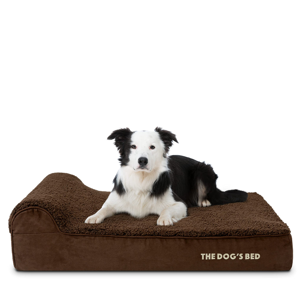 The Dog’s Bed Orthopedic Memory Foam Bed with Headrest