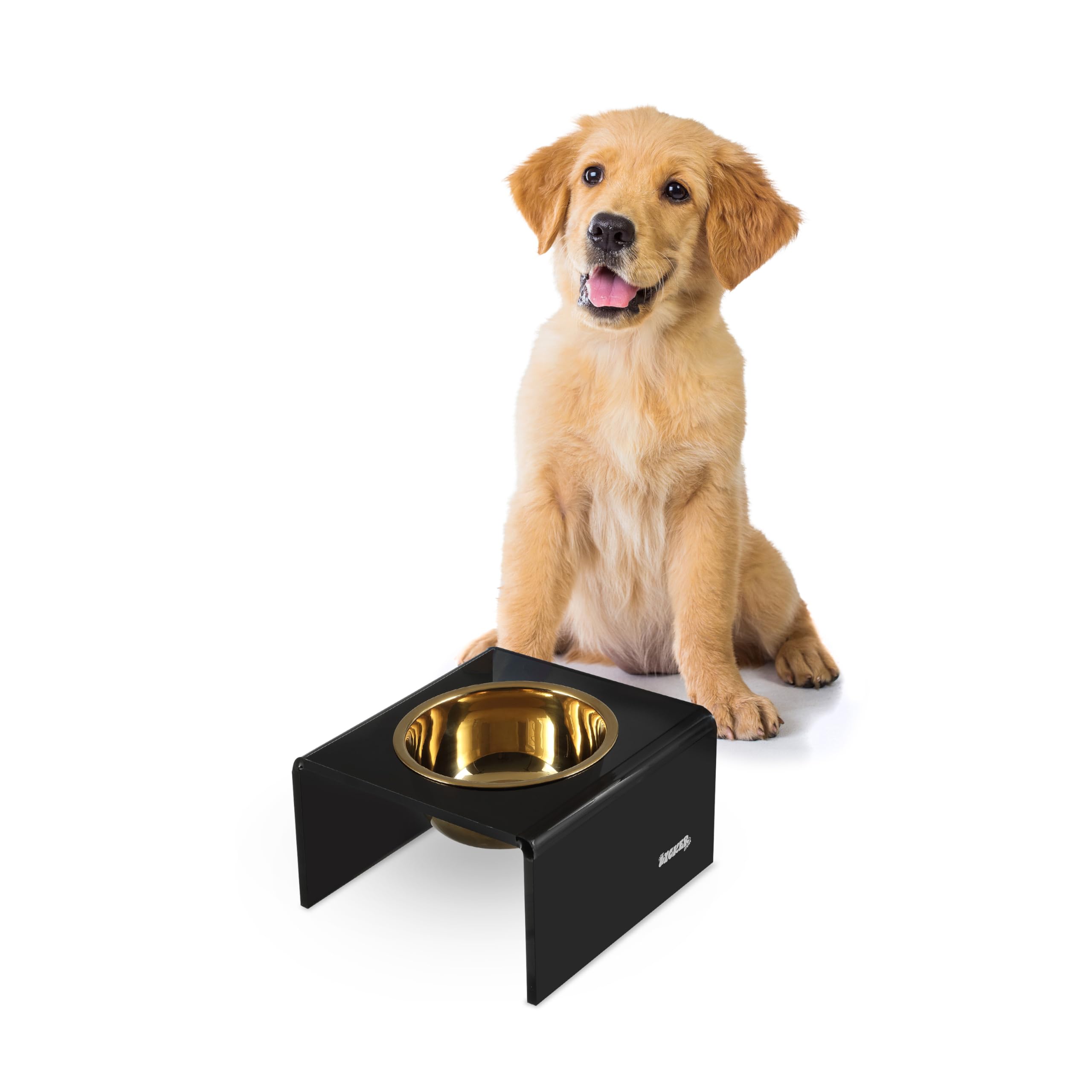 LICKER Acrylic Elevated Pet Feeder with Clear Stand