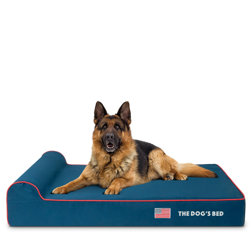 The Dog’s Bed Orthopedic Memory Foam Bed with Headrest