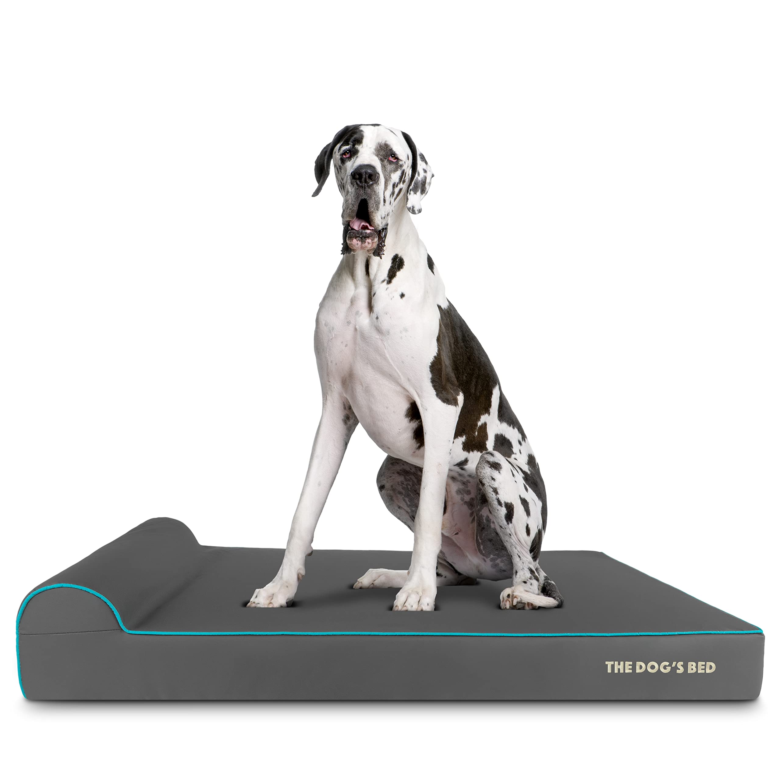 The Dog’s Bed Orthopedic Memory Foam Bed with Headrest