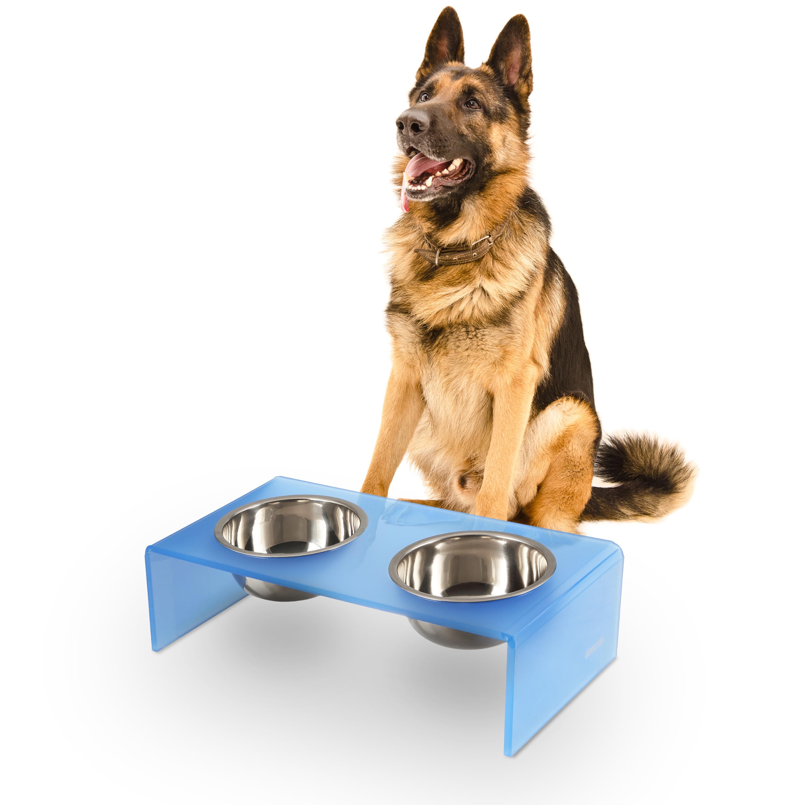 LICKER Acrylic Elevated Pet Feeder with Clear Stand