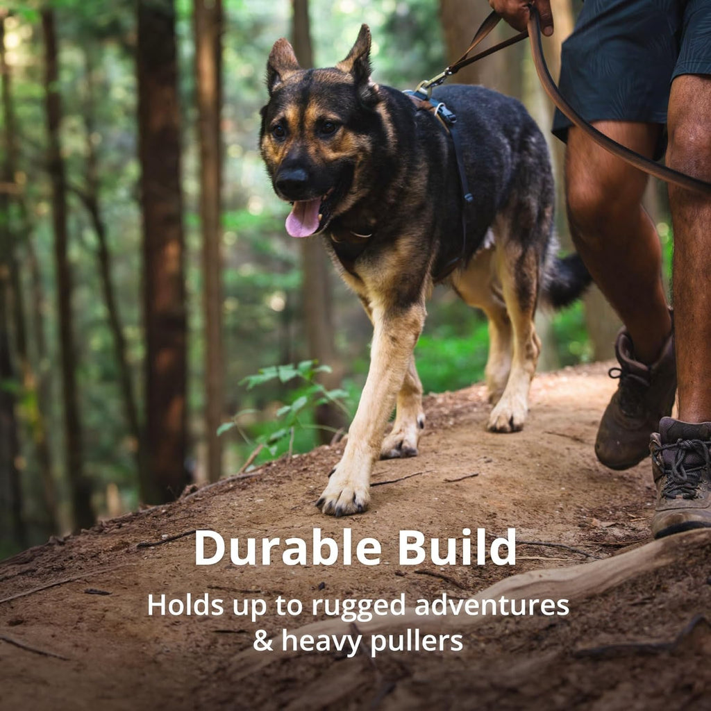 Ruffwear Front Range Reflective Padded Dog Harness