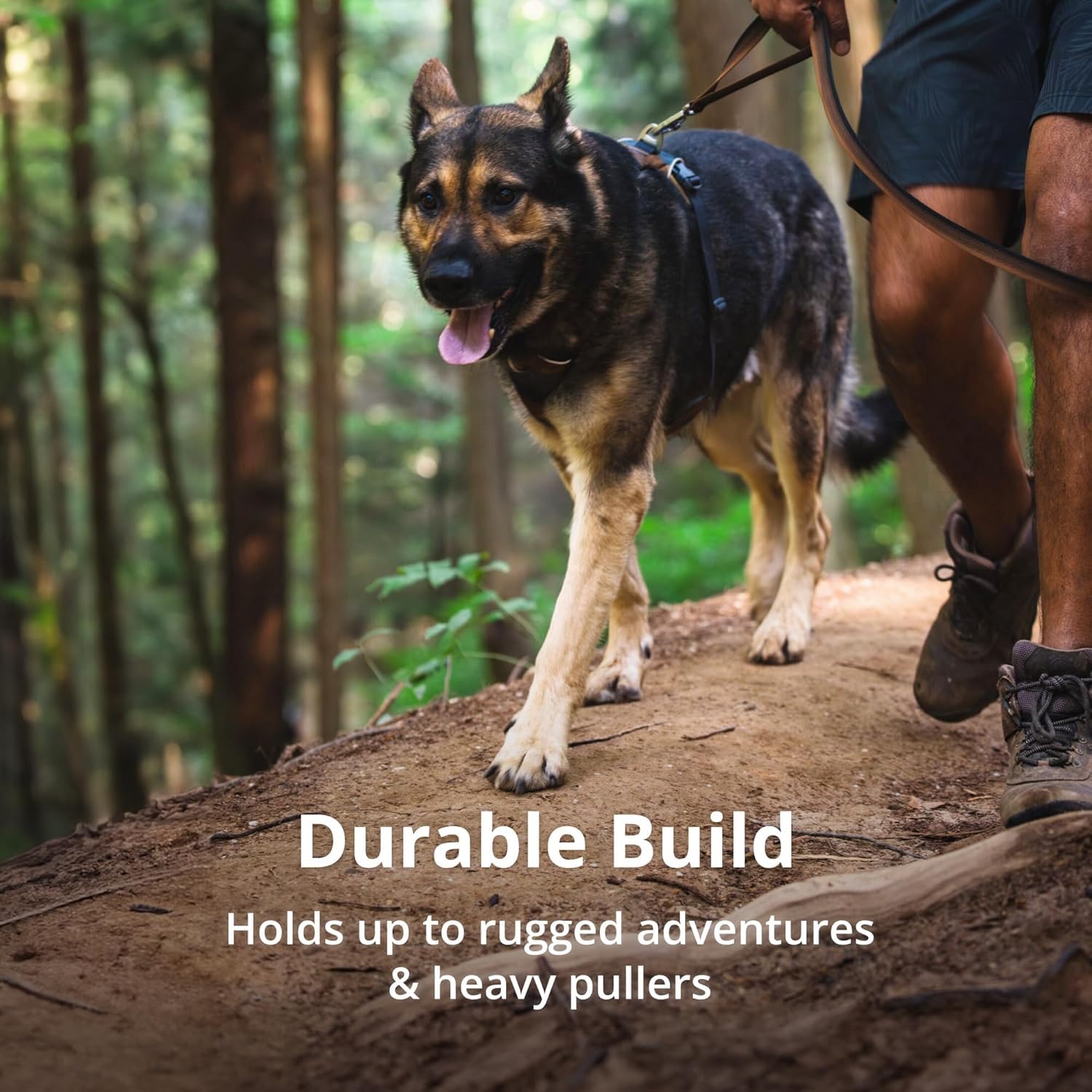 Ruffwear Front Range Reflective Padded Dog Harness