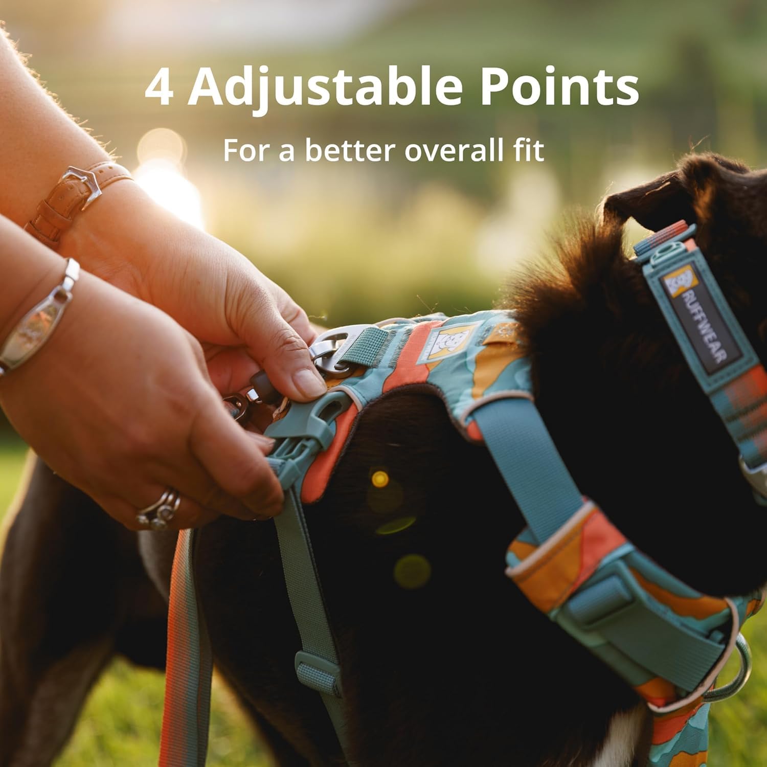 Ruffwear Front Range Reflective Padded Dog Harness