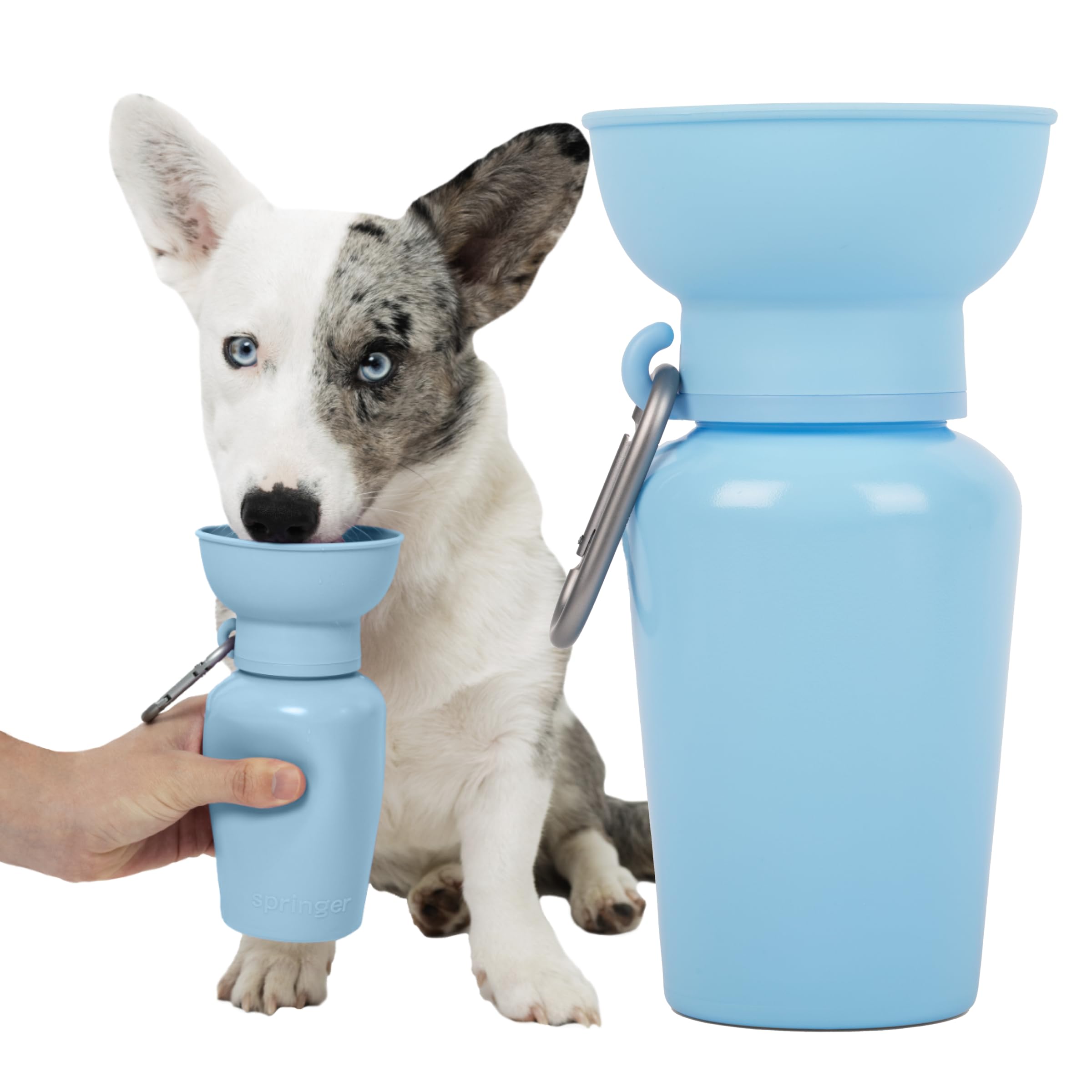 Springer 22 oz Leak-Proof Portable Dog Water Bottle