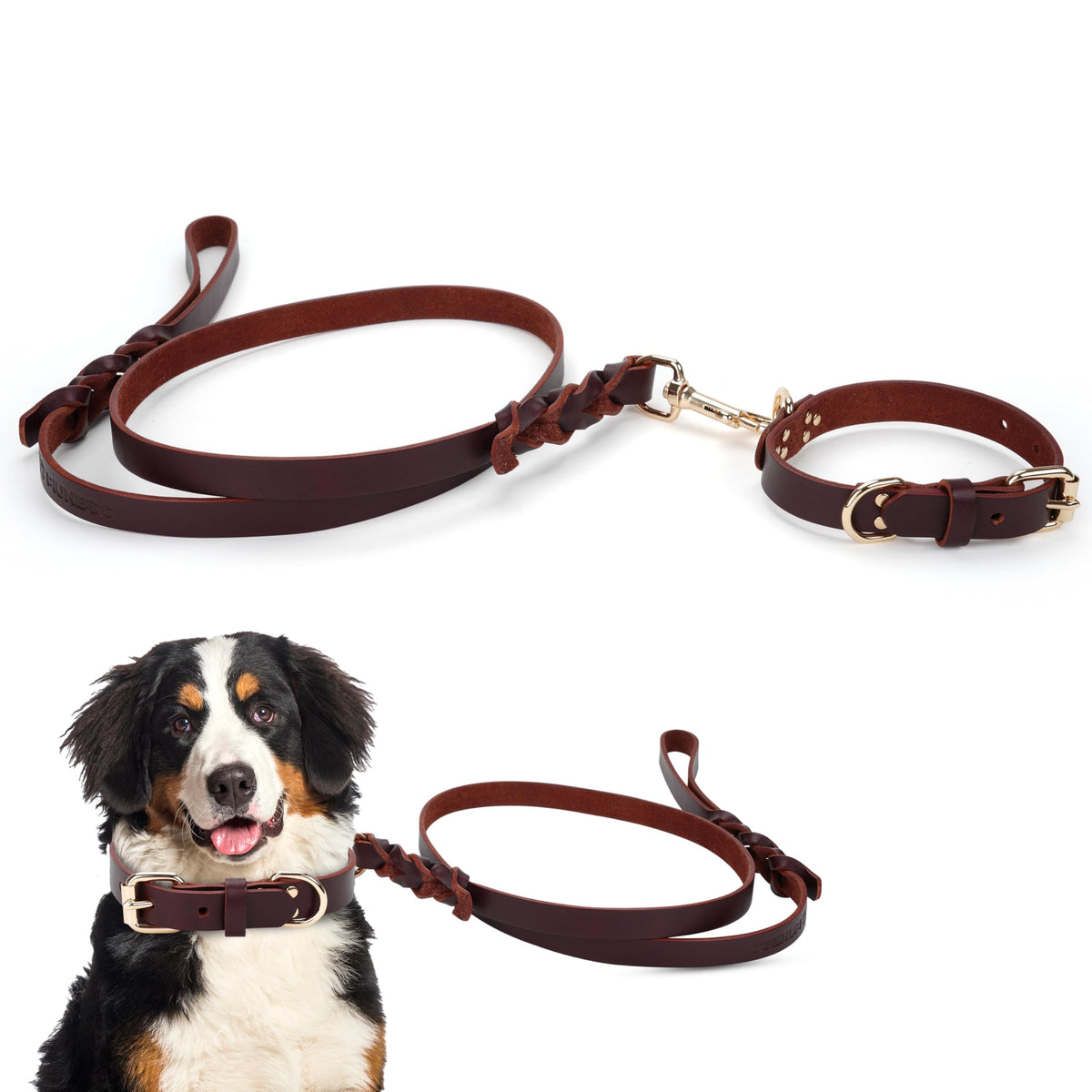 Piuness Genuine Leather Dog Collar and Leash Set