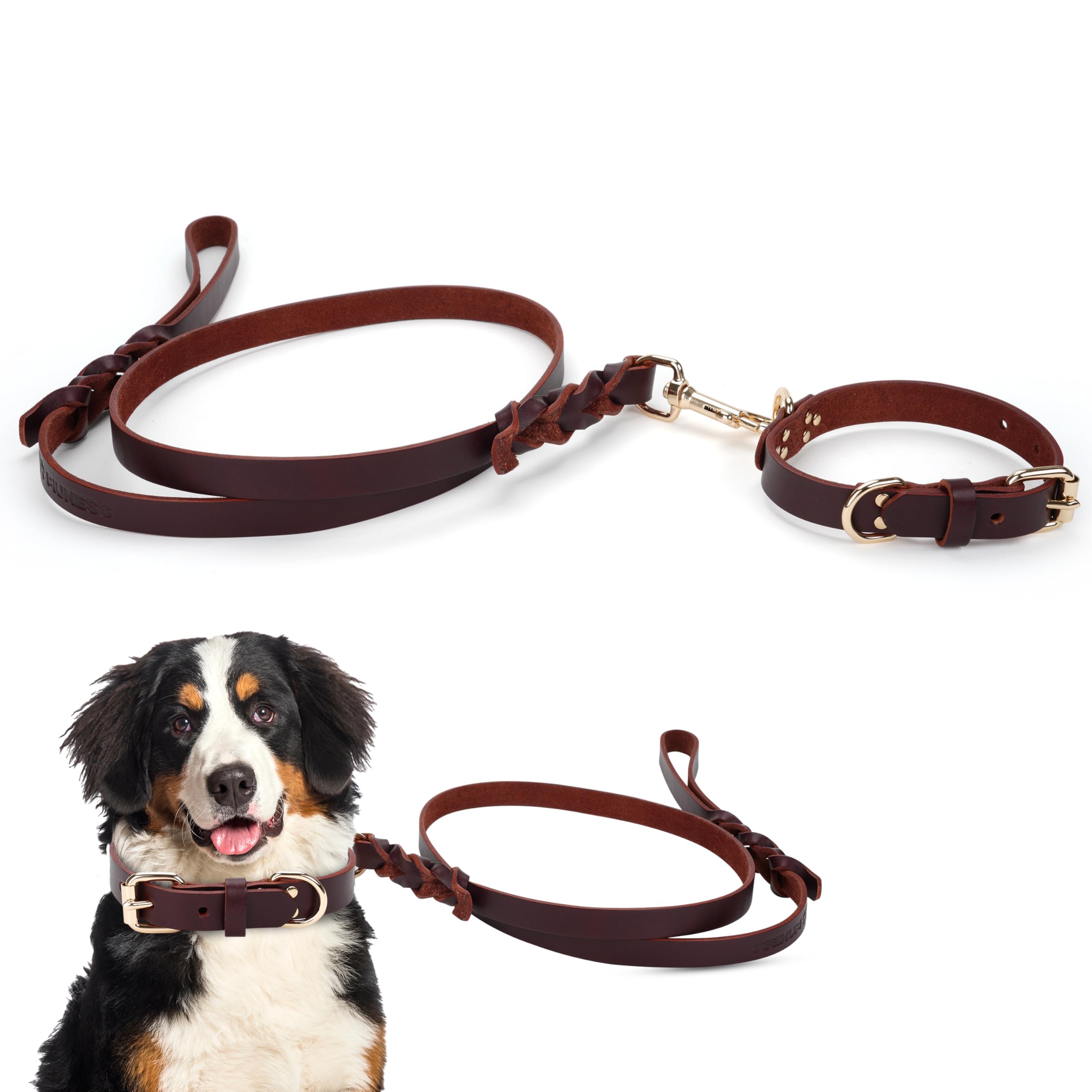 Piuness Genuine Leather Dog Collar and Leash Set