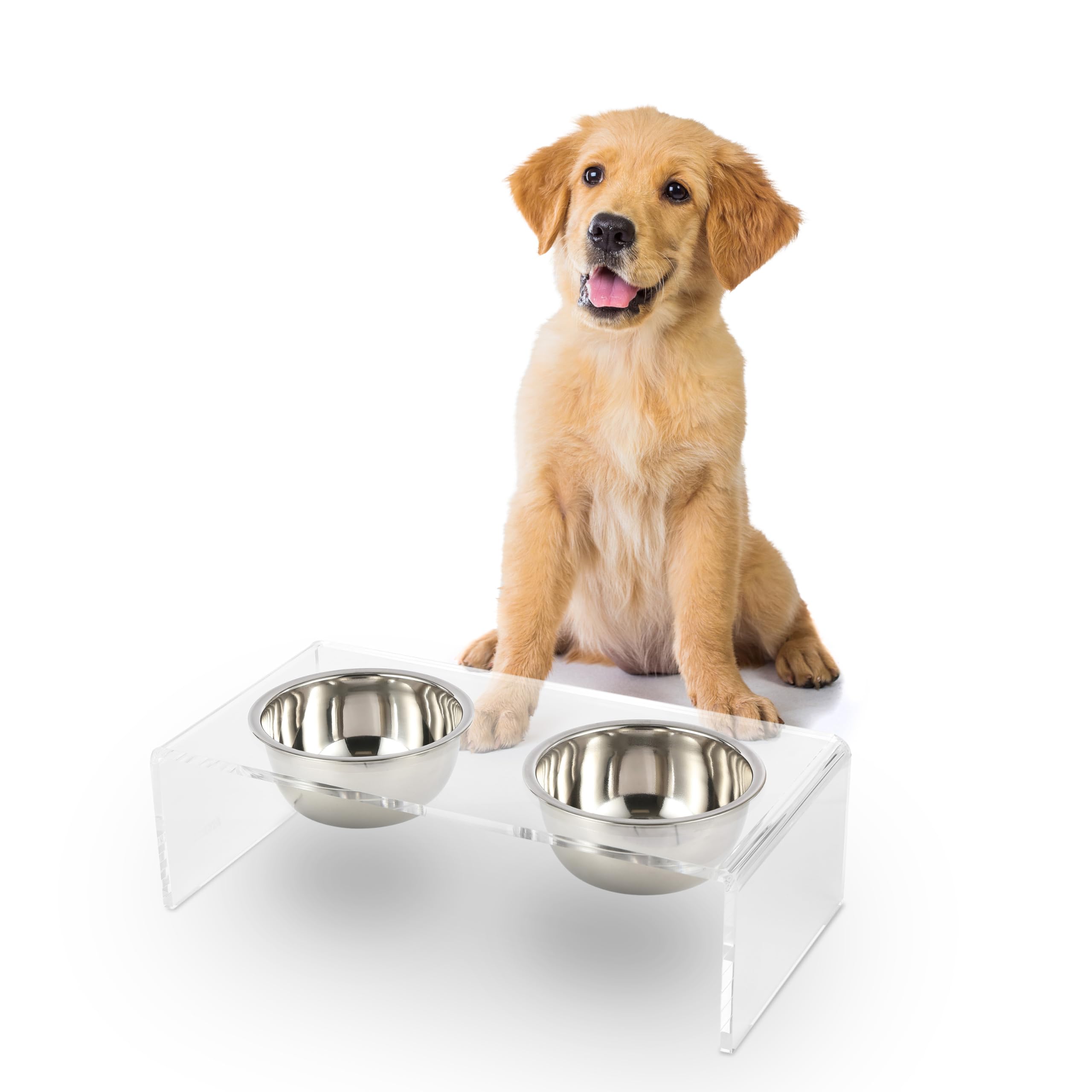LICKER Acrylic Elevated Pet Feeder with Clear Stand