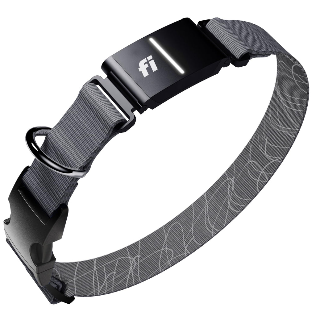 Fi Series 3+ GPS Smart Dog Collar with Health Monitoring