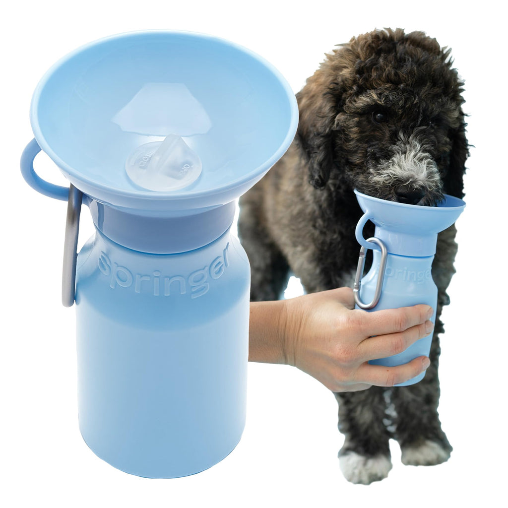 Springer 22 oz Leak-Proof Portable Dog Water Bottle