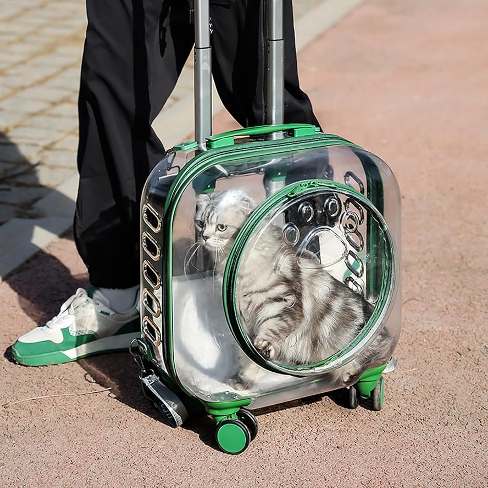 Clear Rolling Pet Carrier Suitcase for Cats and Puppies