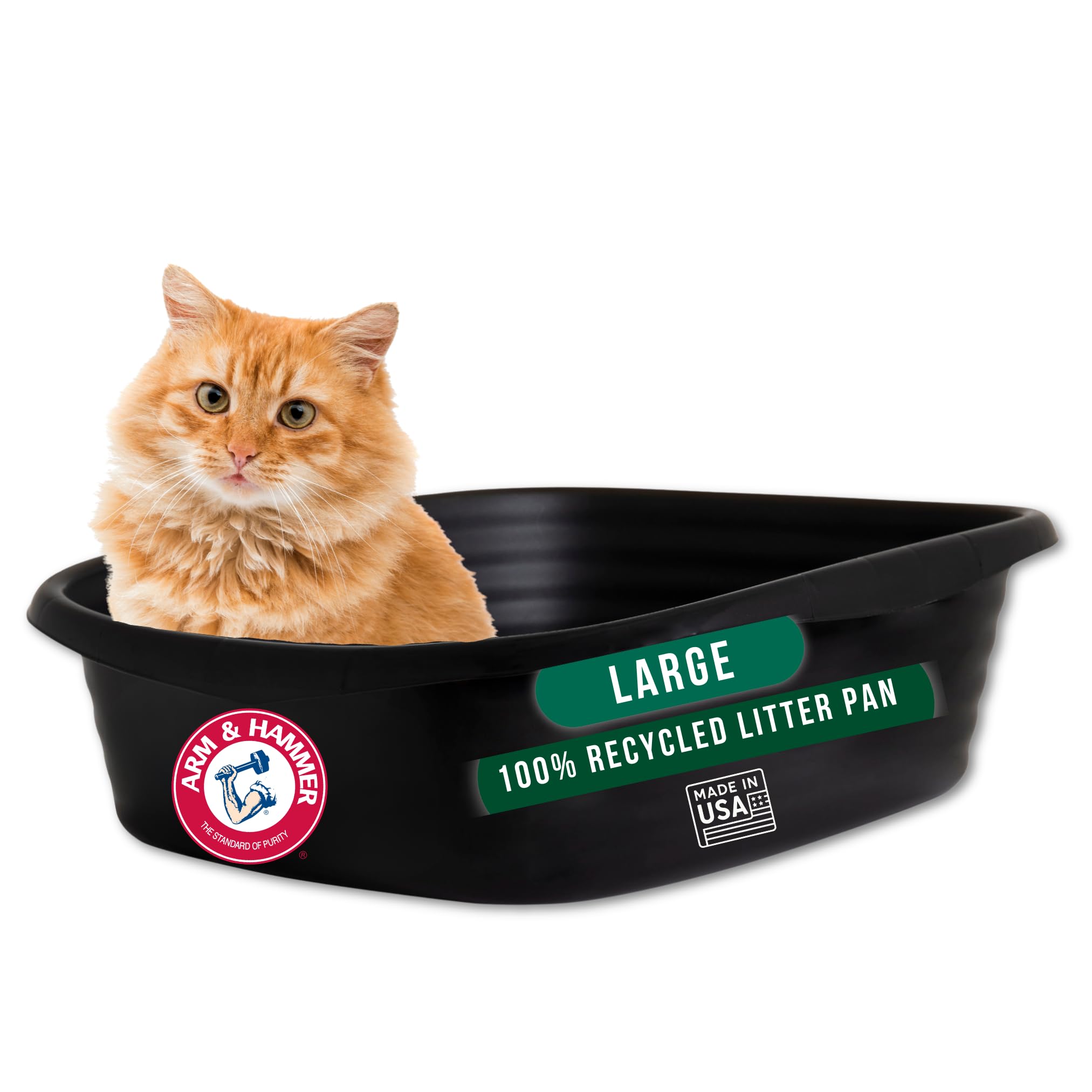 Arm & Hammer Large Sifting Cat Litter Box with Microban