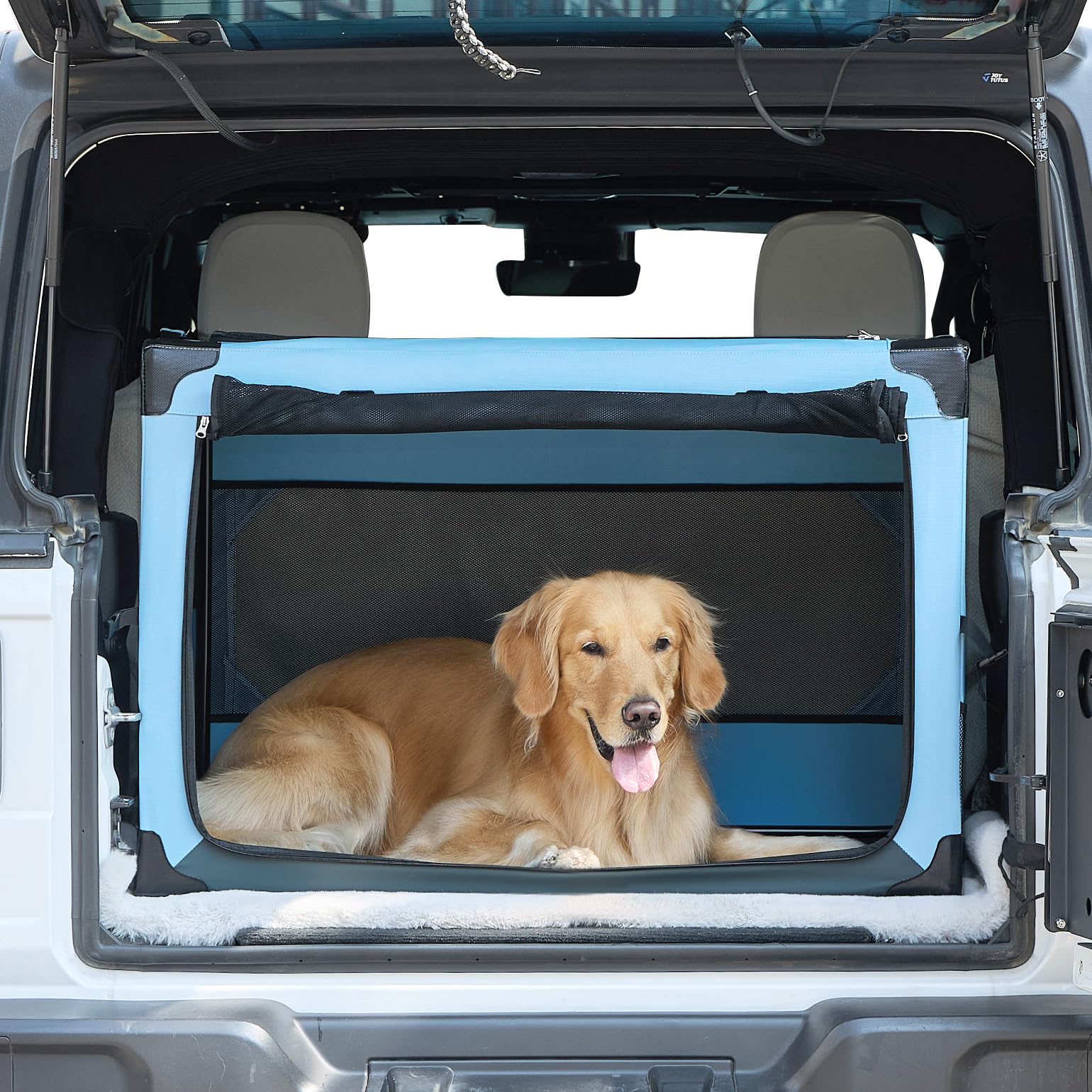 JOYTUTUS Collapsible Soft-Sided Dog Travel Crate