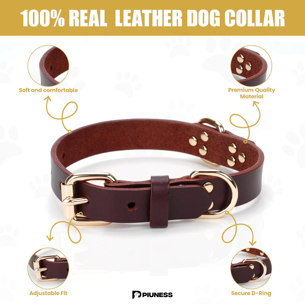 Piuness Genuine Leather Dog Collar and Leash Set