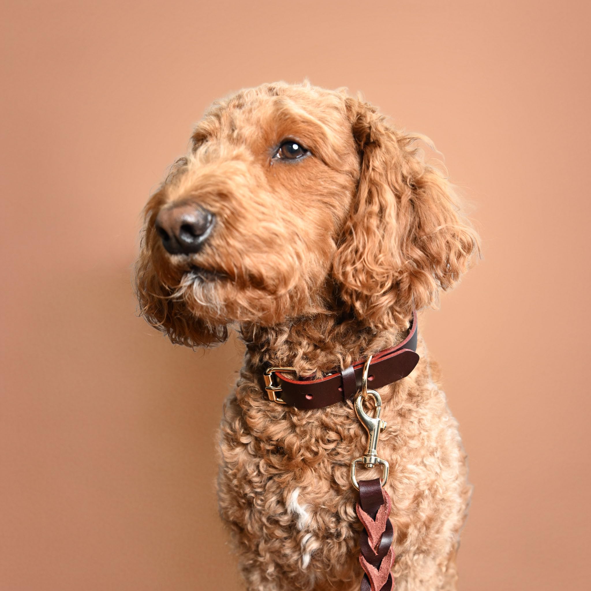 Piuness Genuine Leather Dog Collar and Leash Set