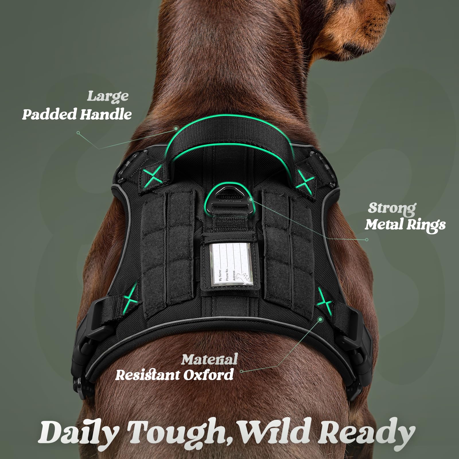 Rabbitgoo Tactical No-Pull Dog Harness with MOLLE Handle