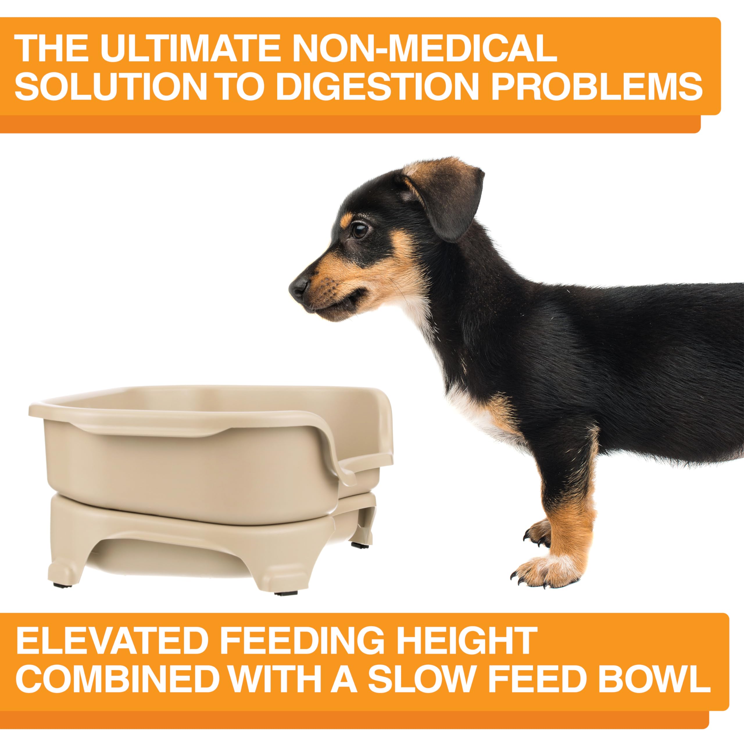 Neater Feeder Express Mess-Proof Elevated Pet Bowls