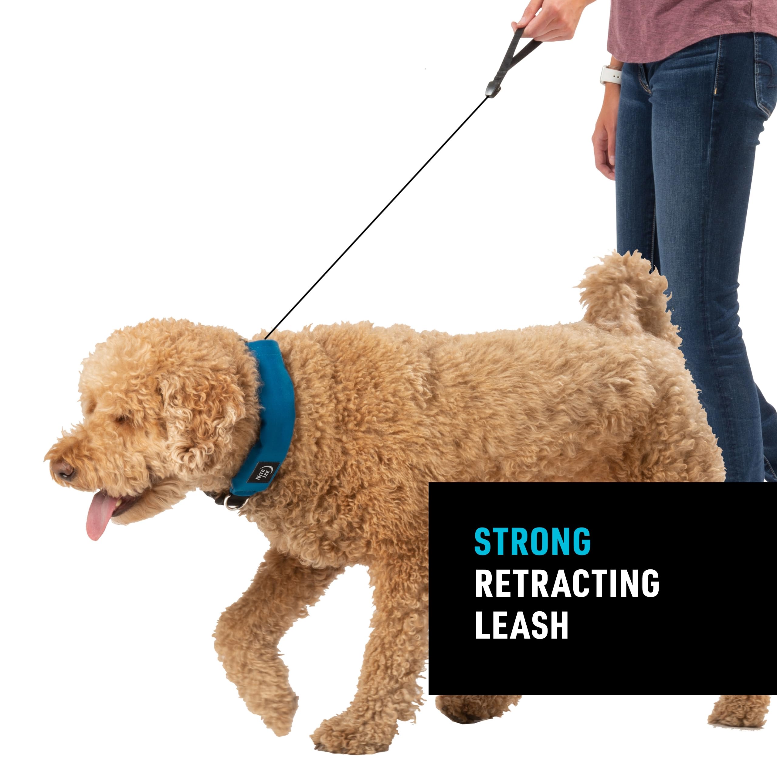 Nite Ize Raddog Heavy-Duty Collar with Retractable Leash