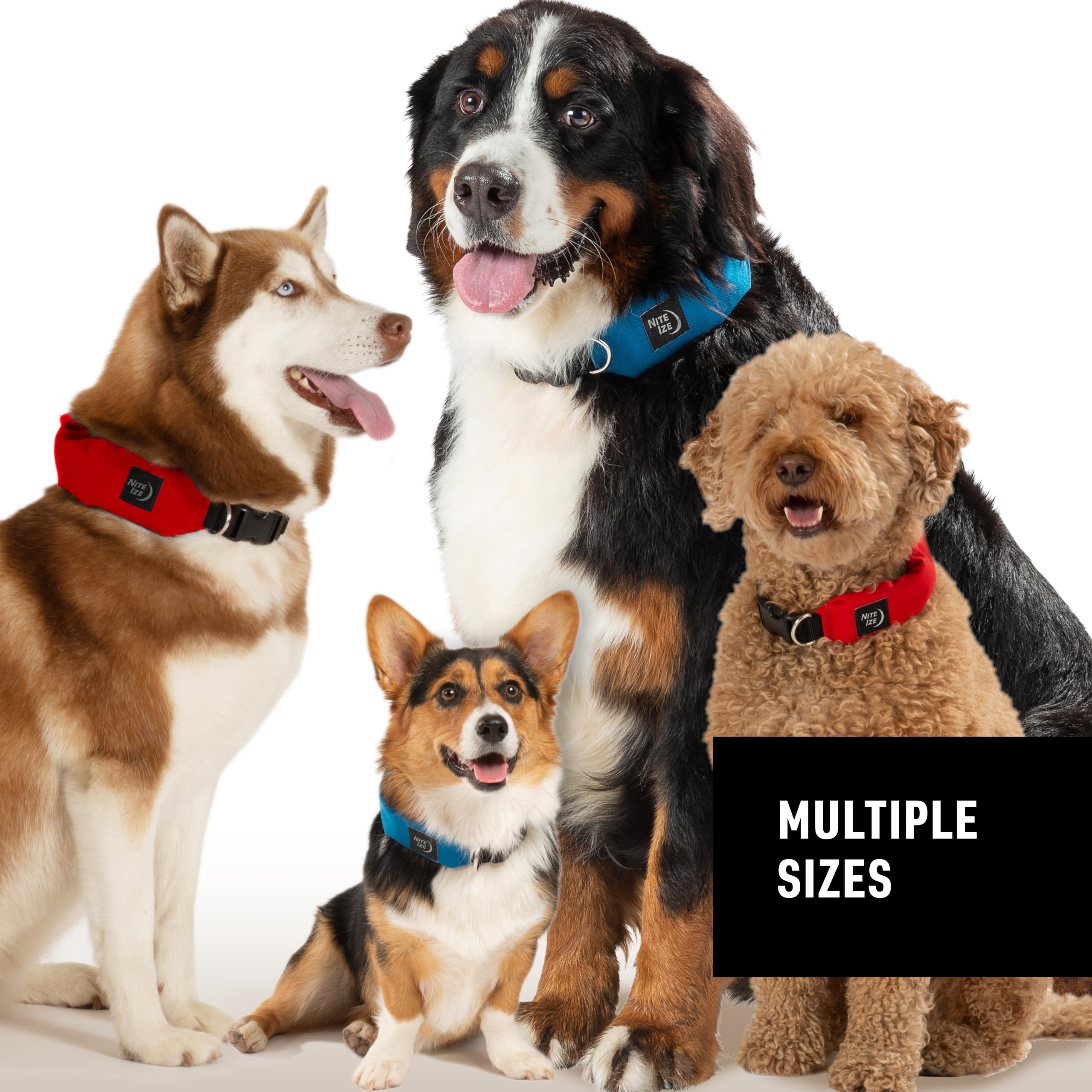 Nite Ize Raddog Heavy-Duty Collar with Retractable Leash