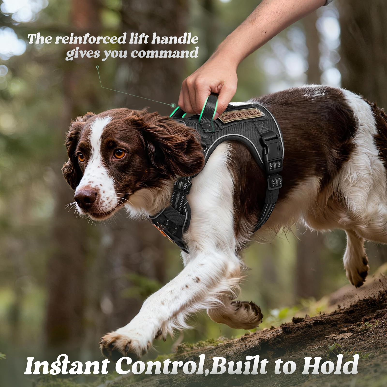 Rabbitgoo Tactical No-Pull Dog Harness with MOLLE Handle