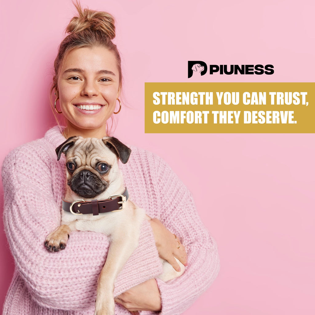 Piuness Genuine Leather Dog Collar and Leash Set