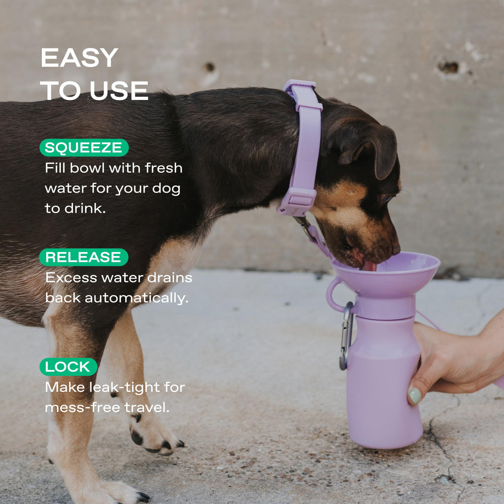 Springer 22 oz Leak-Proof Portable Dog Water Bottle