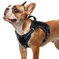 Rabbitgoo Tactical No-Pull Dog Harness with MOLLE Handle