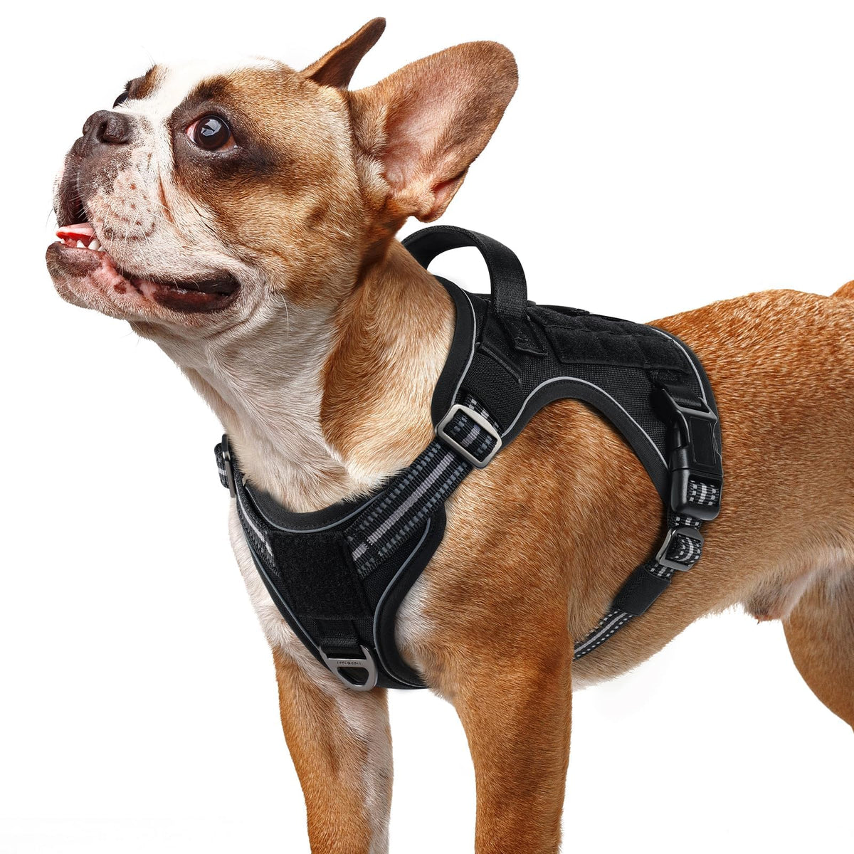 Rabbitgoo Tactical No-Pull Dog Harness with MOLLE Handle