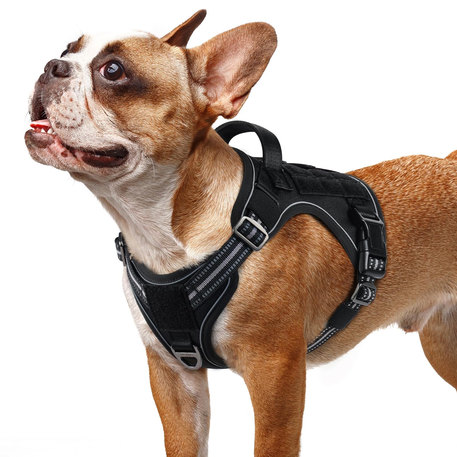 Rabbitgoo Tactical No-Pull Dog Harness with MOLLE Handle