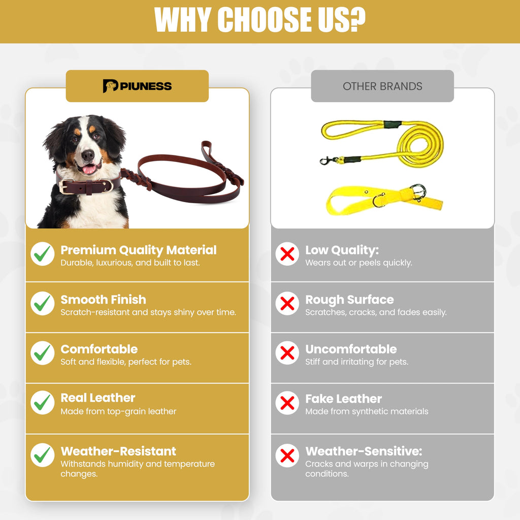 Piuness Genuine Leather Dog Collar and Leash Set