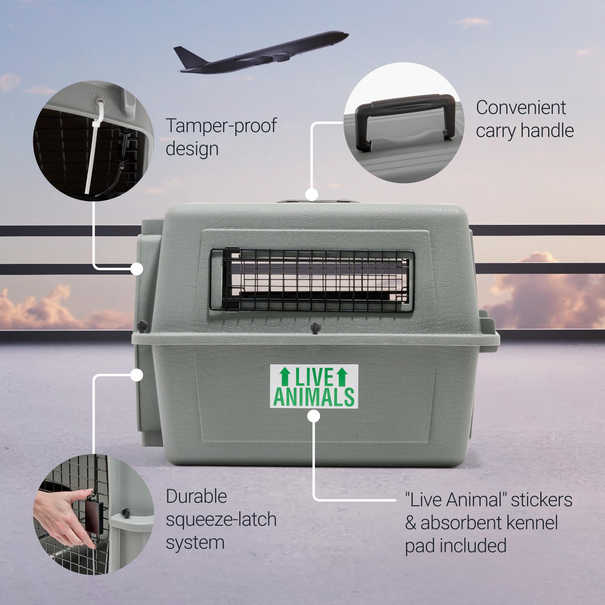 Petmate Sky Kennel IATA-Compliant Dog Travel Crate