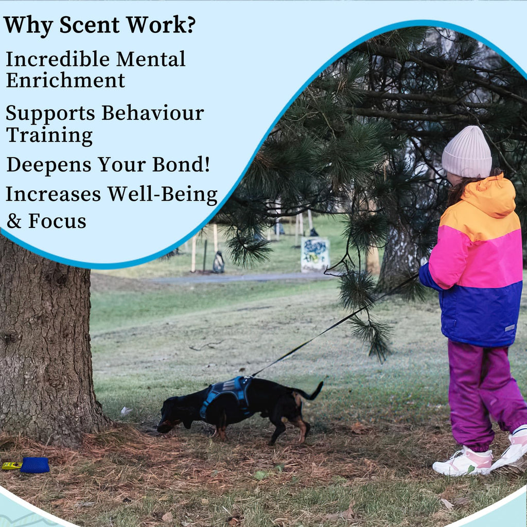 Dog Scent Training Kit for Nose Work and Hide-and-Seek