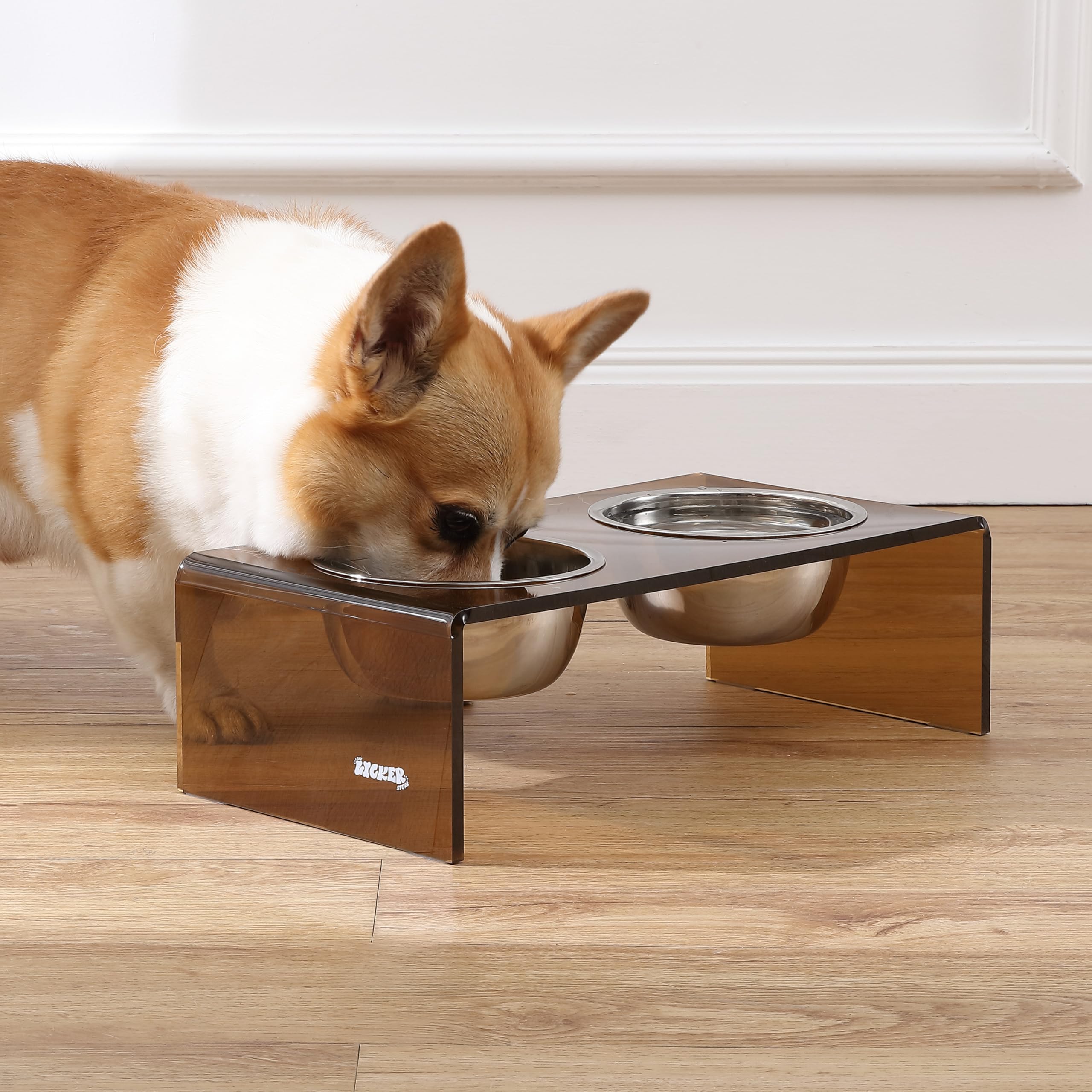 LICKER Acrylic Elevated Pet Feeder with Clear Stand