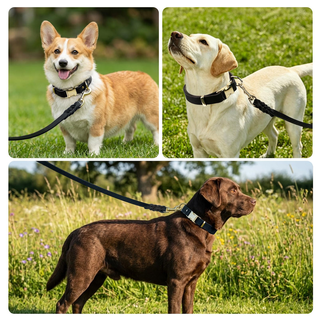 VOKYLR Heavy-Duty Leather Dog Collar and Leash Set