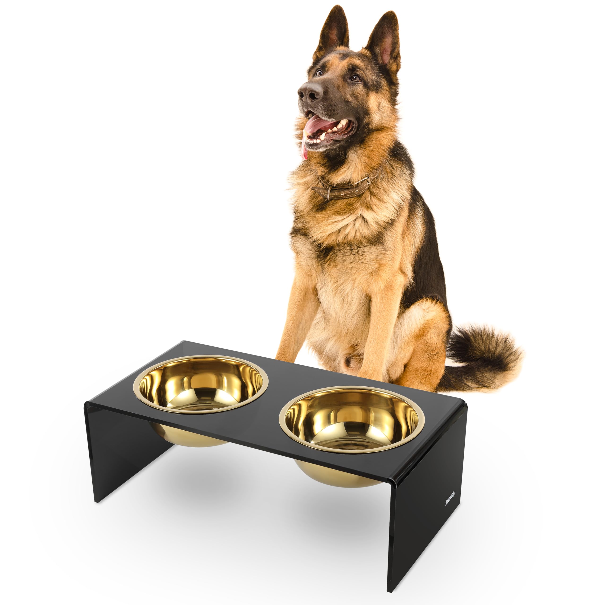 LICKER Acrylic Elevated Pet Feeder with Clear Stand