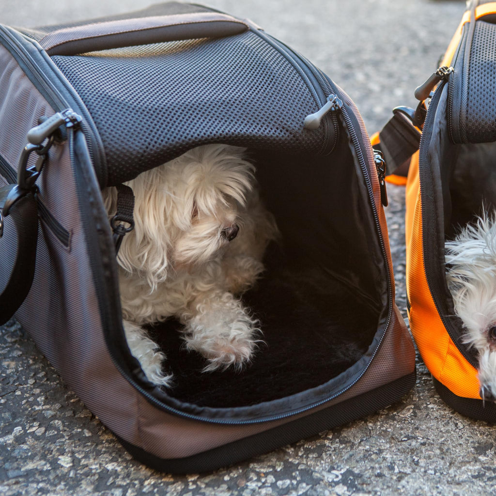 Sleepypod Air In-Cabin Pet Carrier for Cats and Small Dogs