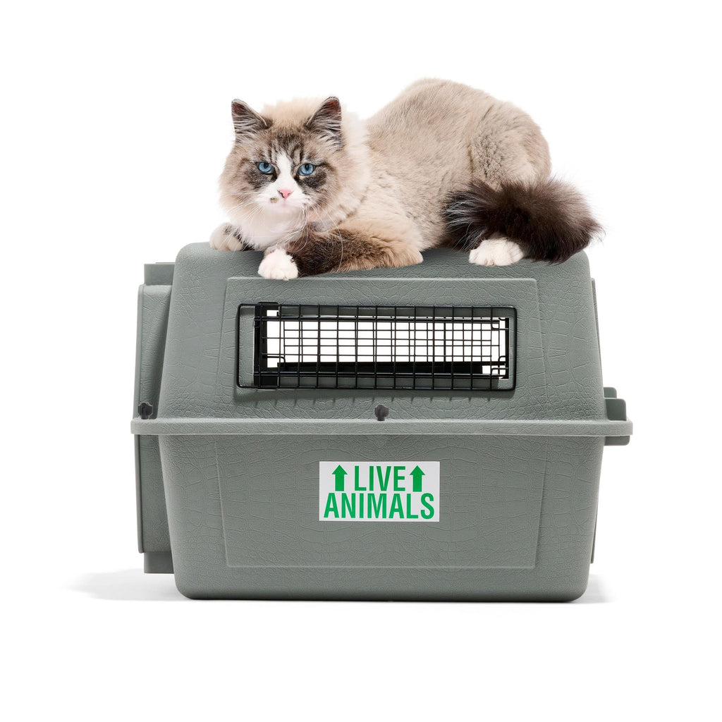 Petmate Sky Kennel IATA-Compliant Dog Travel Crate