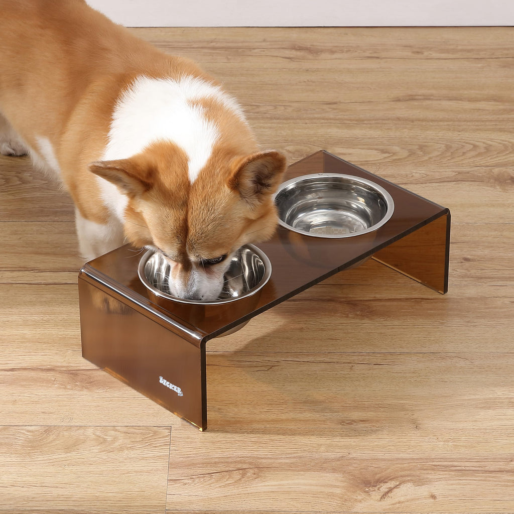LICKER Acrylic Elevated Pet Feeder with Clear Stand