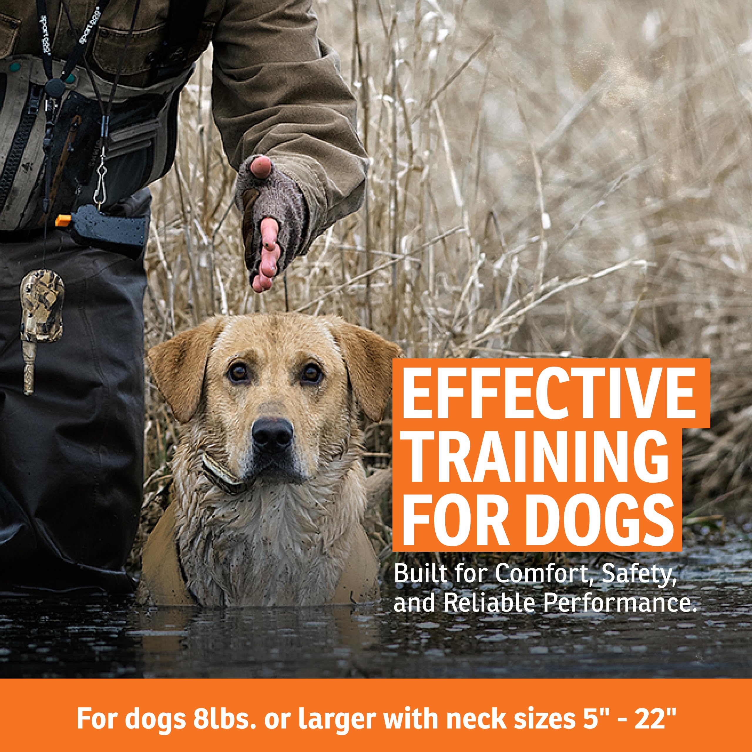 SportDOG WetlandHunter 425X Remote Dog Training Collar
