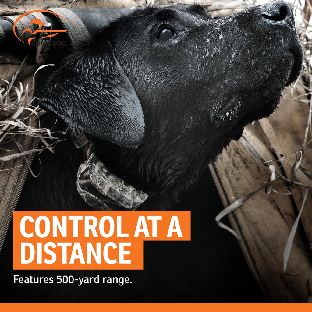SportDOG WetlandHunter 425X Remote Dog Training Collar