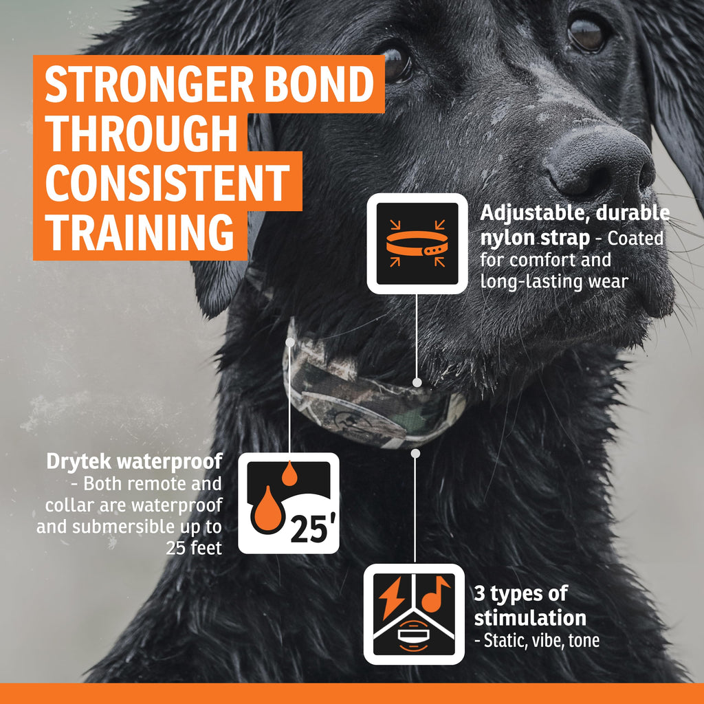 SportDOG WetlandHunter 425X Remote Dog Training Collar
