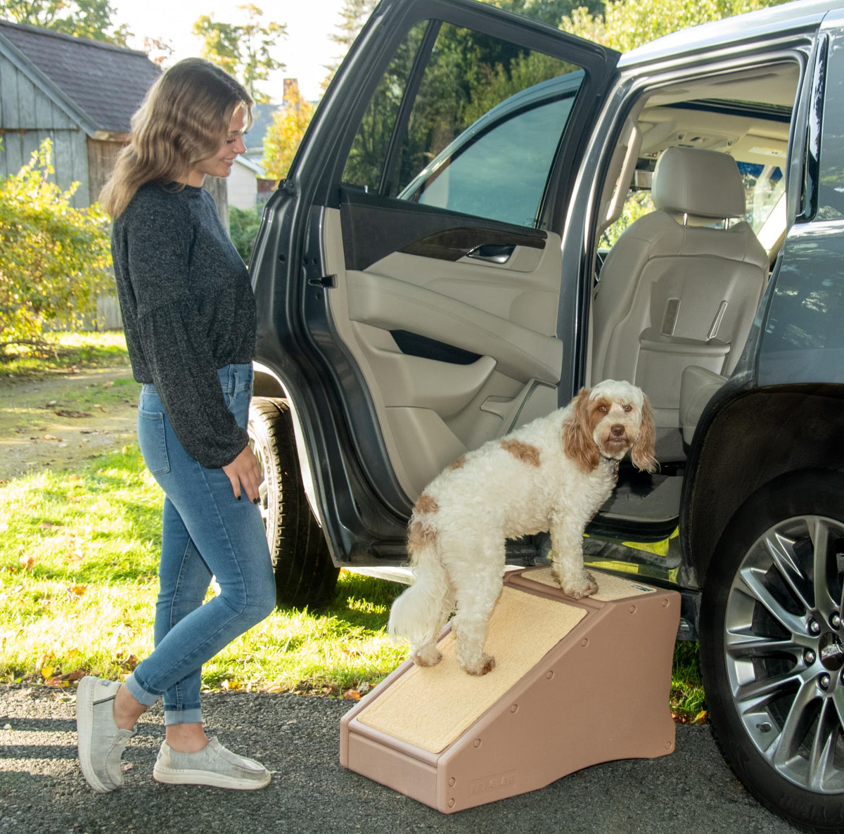 Pet Gear Easy Step II Extra-Wide Pet Stairs for Pets