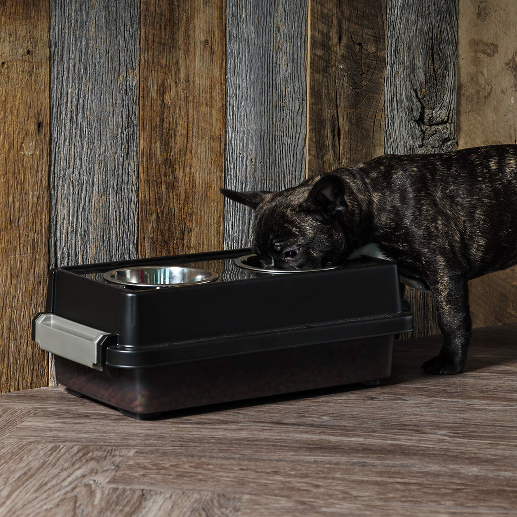 IRIS USA 2-in-1 Elevated Dog Bowls with Food Storage